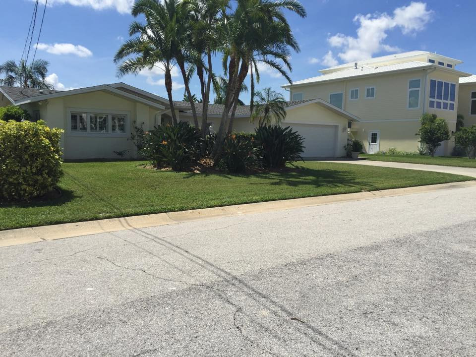 clearwater-florida-professional-lawn-service.jpg clearwater-florida-professional-lawn-service.jpg
